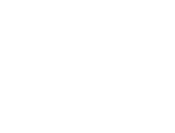 Arctoris